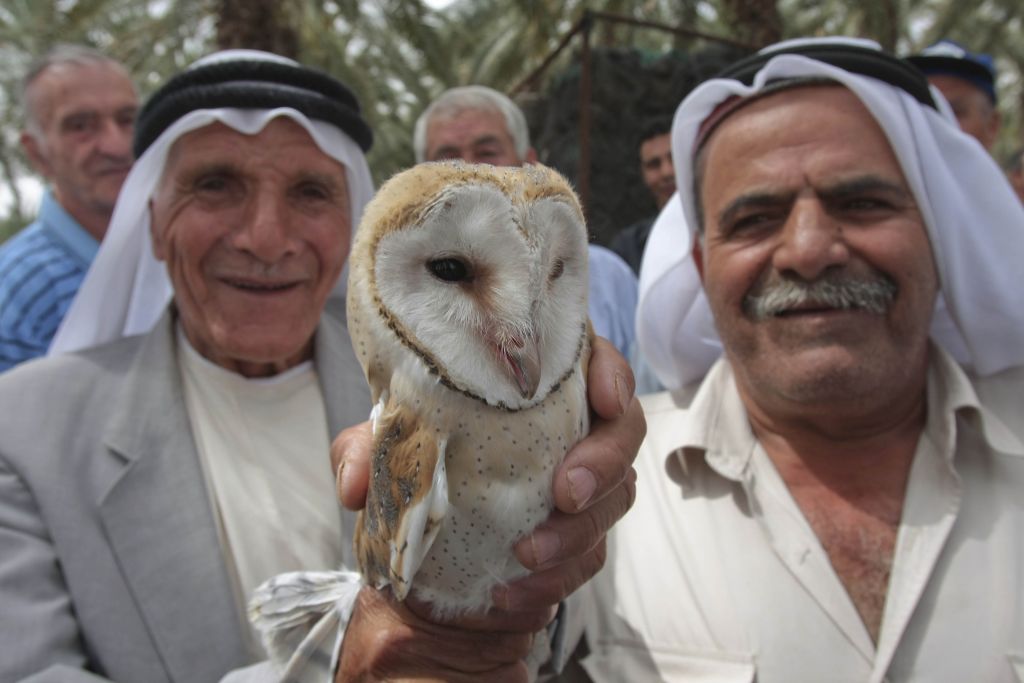 arabs holding owl