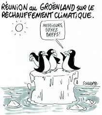 blog256 dessinpingouin