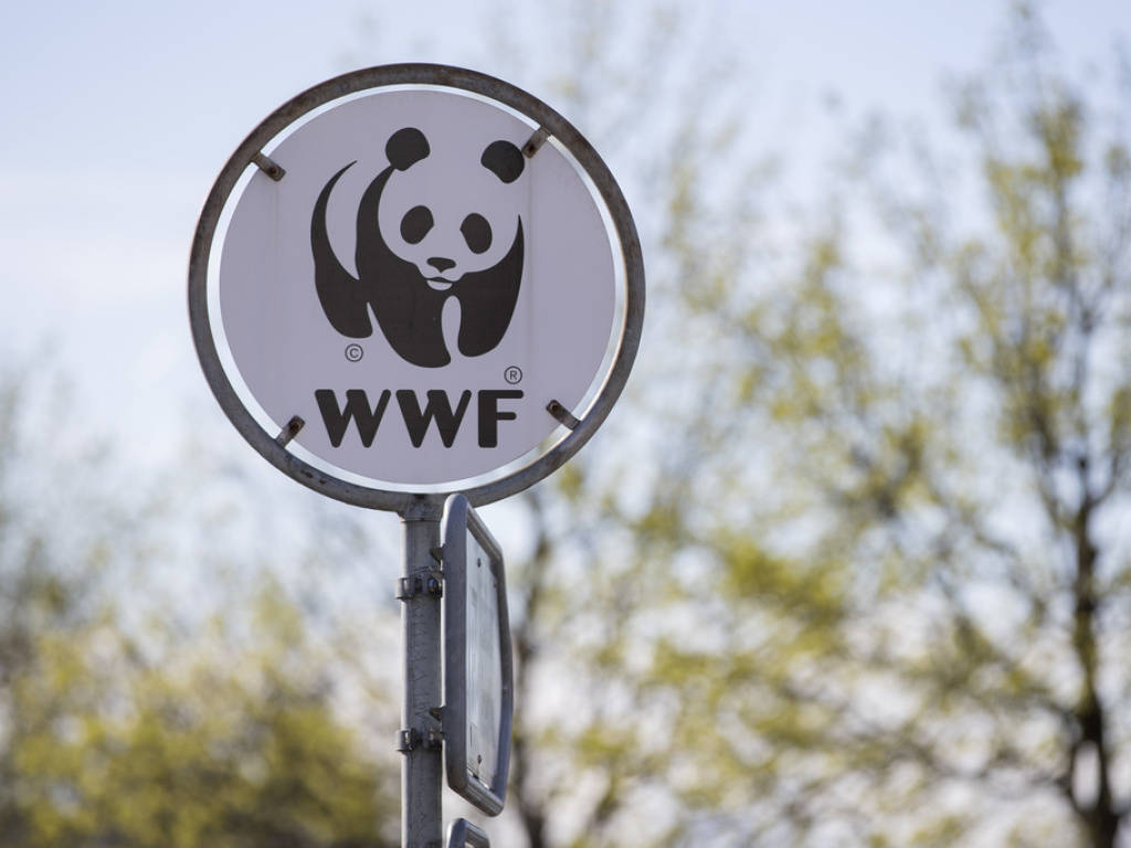 interdit WWF